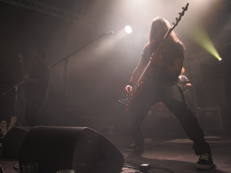 Mehr über den Artikel erfahren Neue Fotos online